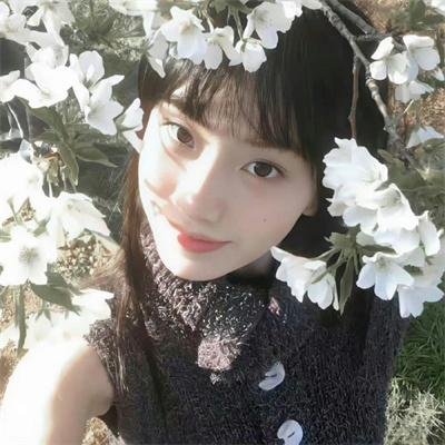 我的街区第四季